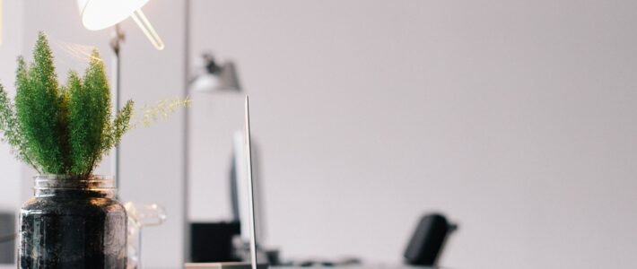 Mauris eu mollis Mauris eu mollis